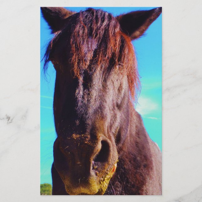 Lila Horse w/ Grönt Mouth (Framsida)