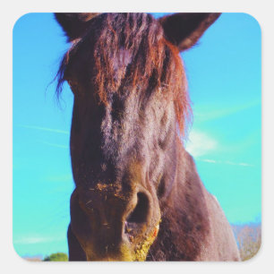 Lila Horse w/ Grönt Mouth Fyrkantigt Klistermärke