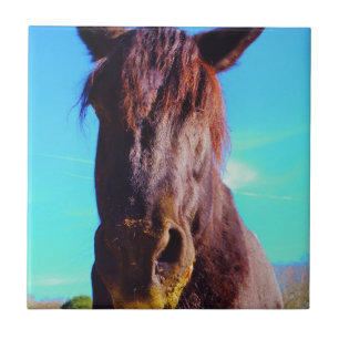 Lila Horse w/ Grönt Mouth Kakelplatta