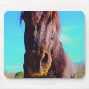 Lila Horse w/ Grönt Mouth Musmatta