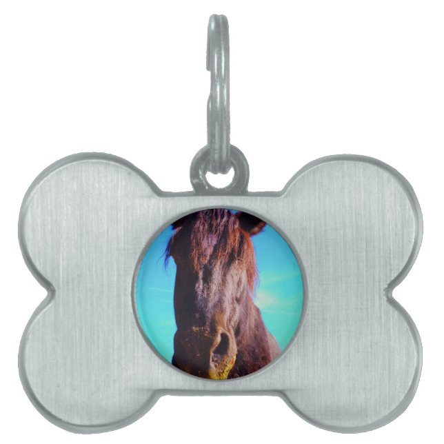 Lila Horse w/ Grönt Mouth Namnbricka Husdjur (Framsidan)