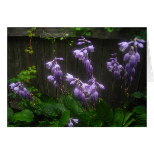 Lila Hosta Florets Hälsningskort