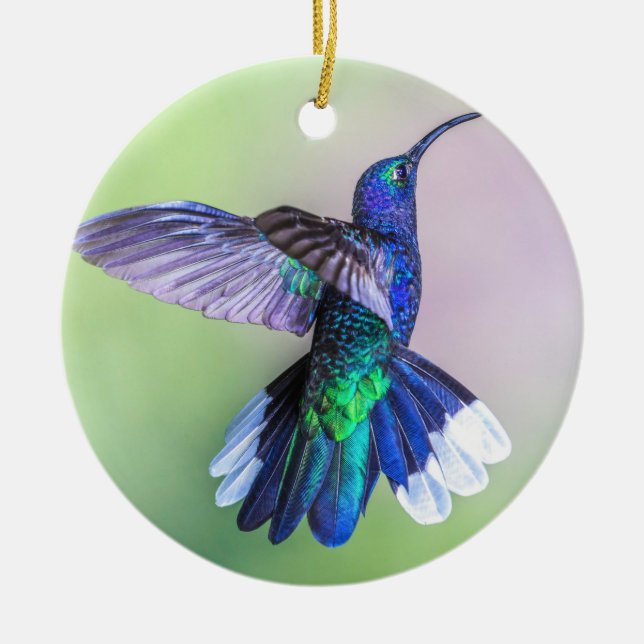 Lila Hummingbird Flies Monogram Namn Julgransprydnad Keramik (Framsidan)