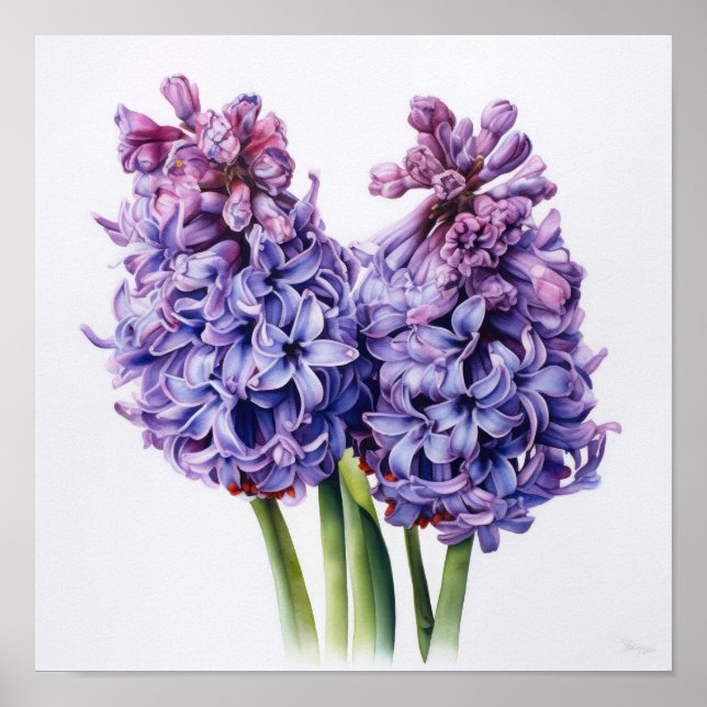 Lila Hyacint Blomma Konsttryck Poster (Framsidan)