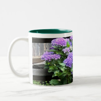 LILA HYACINTH MUGG
