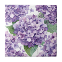 Lila Hydrangea Akvarell Blommig Lavendel Blomning