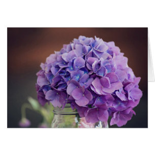 Lila Hydrangea Blankkort OBS Kort