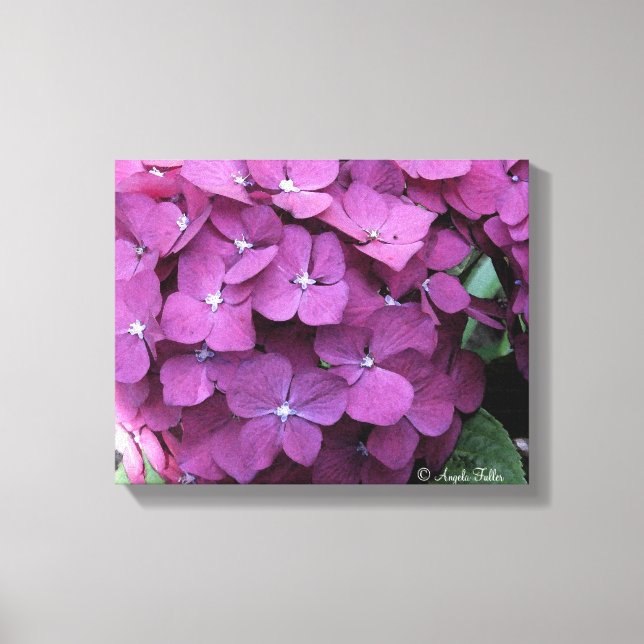 Lila Hydrangea Blooms Canvas (Framsida)