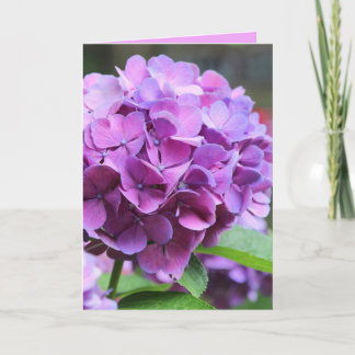 Lila Hydrangea-hälsningskort Kort