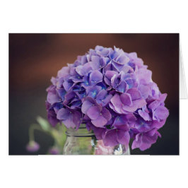 Lila Hydrangea i Mason Burk Photograph OBS Kort