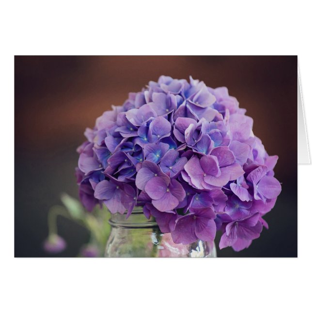 Lila Hydrangea i Mason Burk Photograph OBS Kort (Framsidan Horizontal)