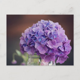 Lila Hydrangea i Mason Burk Photograph Vykort