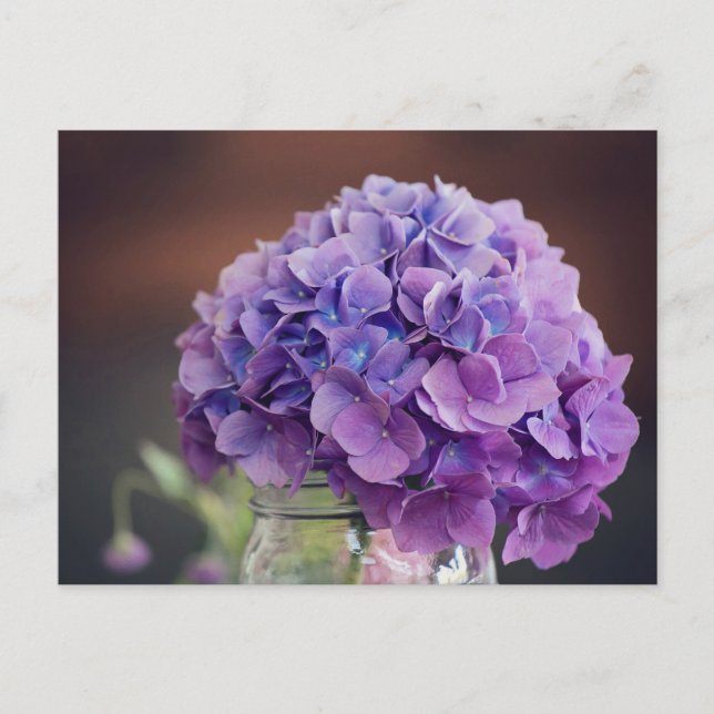 Lila Hydrangea i Mason Burk Photograph Vykort (Framsida)
