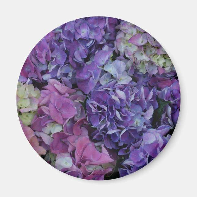 Lila Hydrangea Magnet (Framsidan)