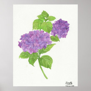 Lila Hydrangea Poster