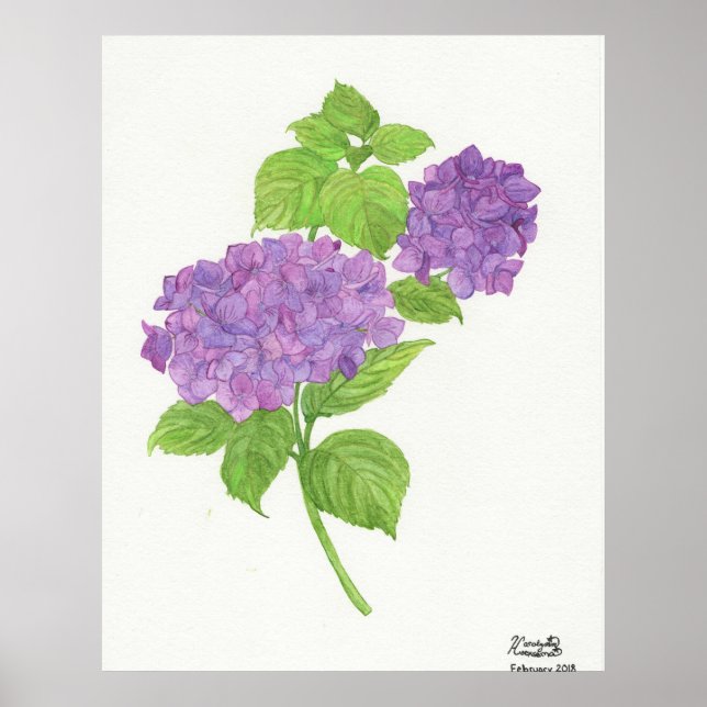 Lila Hydrangea Poster (Framsidan)