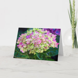 Lila Hydrangea Sweet Friend Kort
