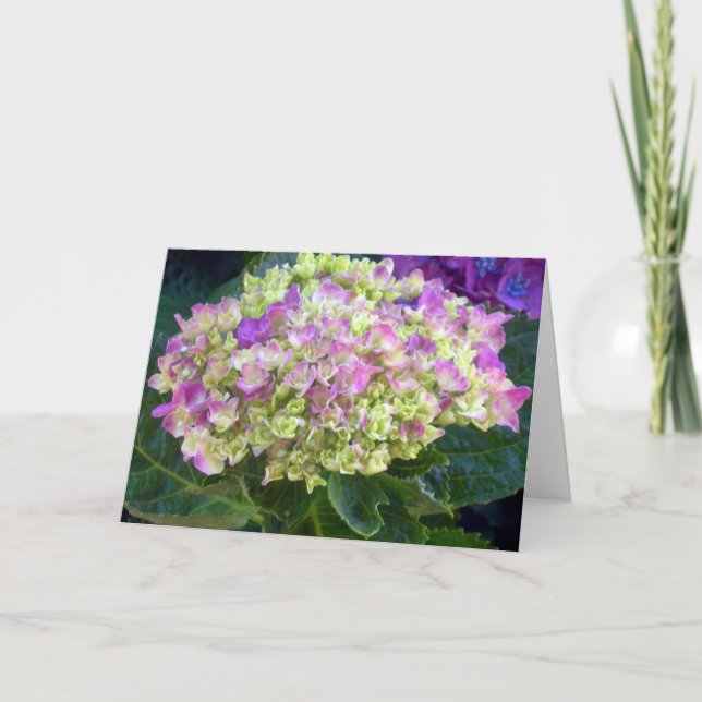 Lila Hydrangea Sweet Friend Kort (Framsida)