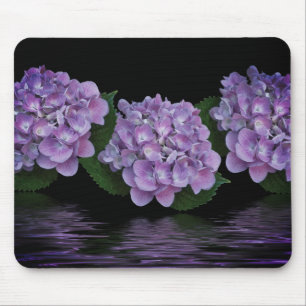 Lila Hydrangea Vatten Reflection Musmatta
