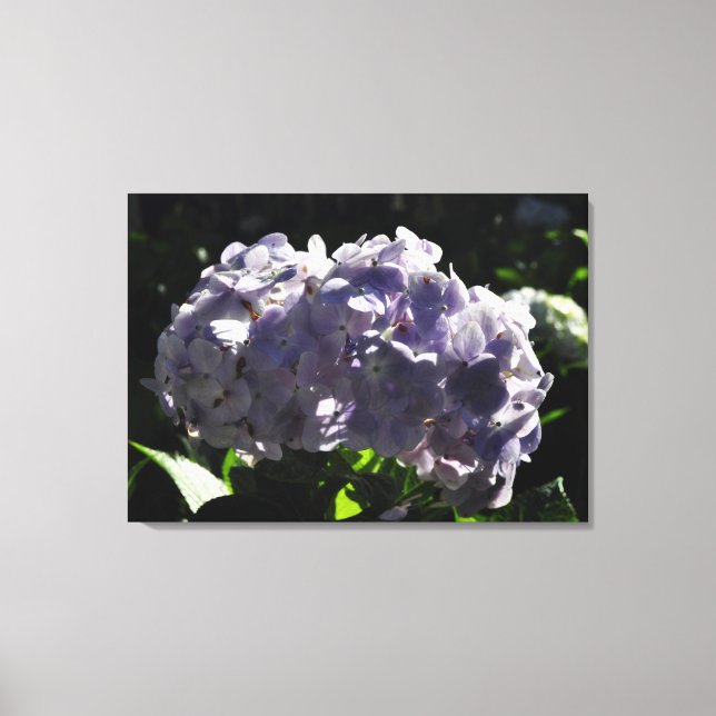 Lila Hydrangeas Flowers Canvastryck (Framsida)