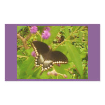 Lila inslagen svart monark