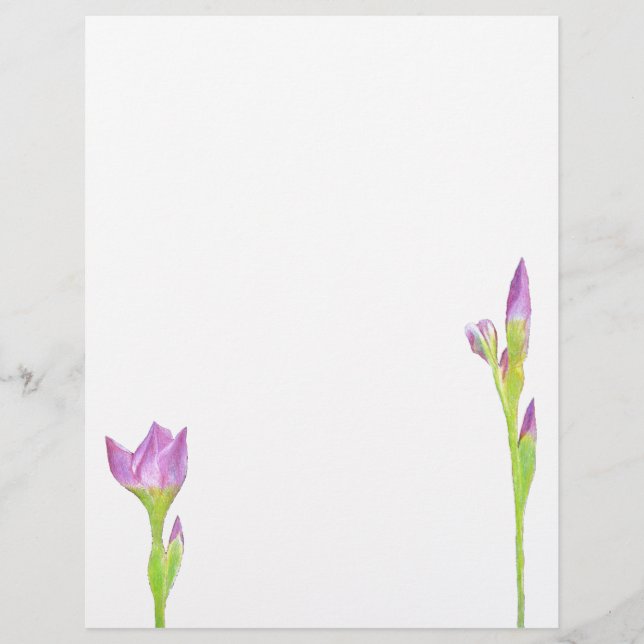 Lila Iris (Framsida)
