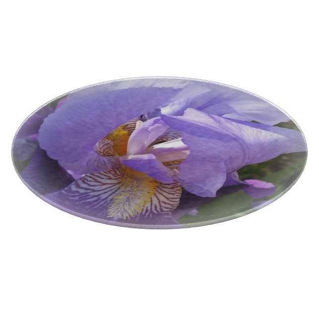 lila iris (Hörn)