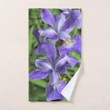 Lila Iris