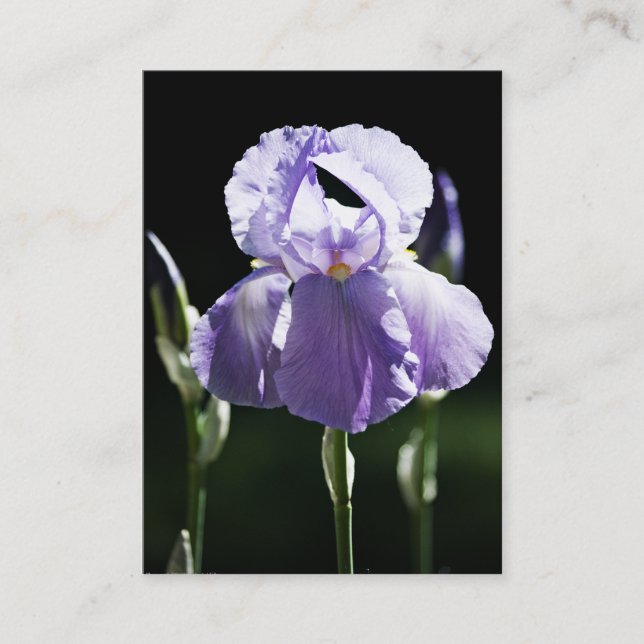Lila Iris 8393 Mini Print Visitkort (Framsida)