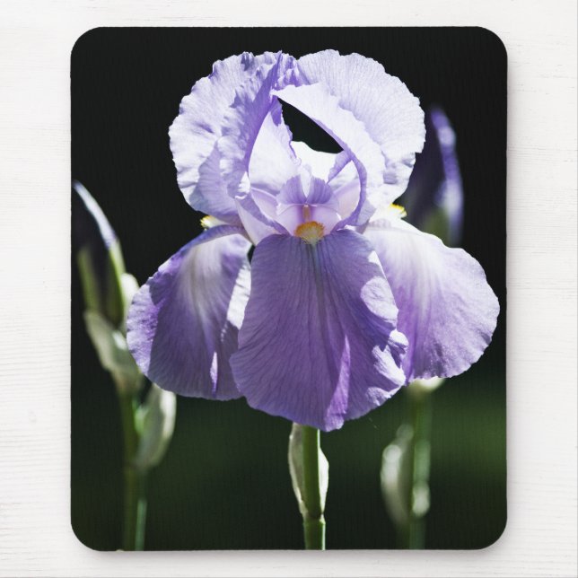 Lila Iris 8393 Mousepad Musmatta (Framsidan)
