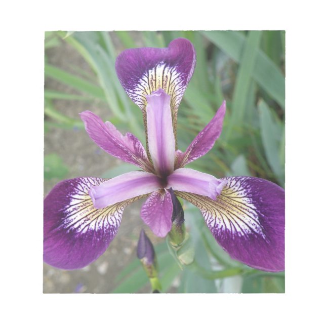 Lila Iris Anteckningsblock (Framsida)