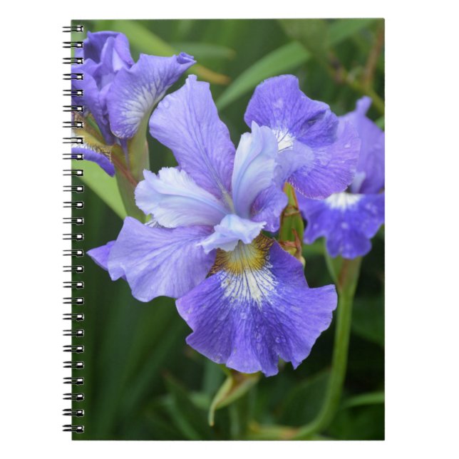 Lila iris anteckningsbok (Framsidan)