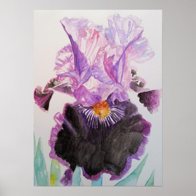 Lila Iris Art Blommigt Flowers Vattenfärg Poster (Framsidan)