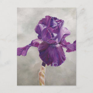 Lila Iris Art-vykort Vykort