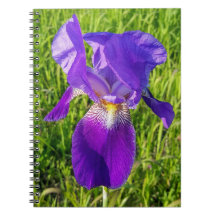 Lila Iris bärbar dator