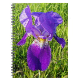 Lila Iris bärbar dator Anteckningsbok