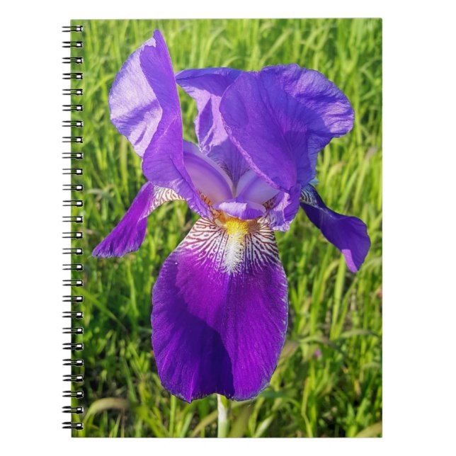 Lila Iris bärbar dator Anteckningsbok (Framsidan)