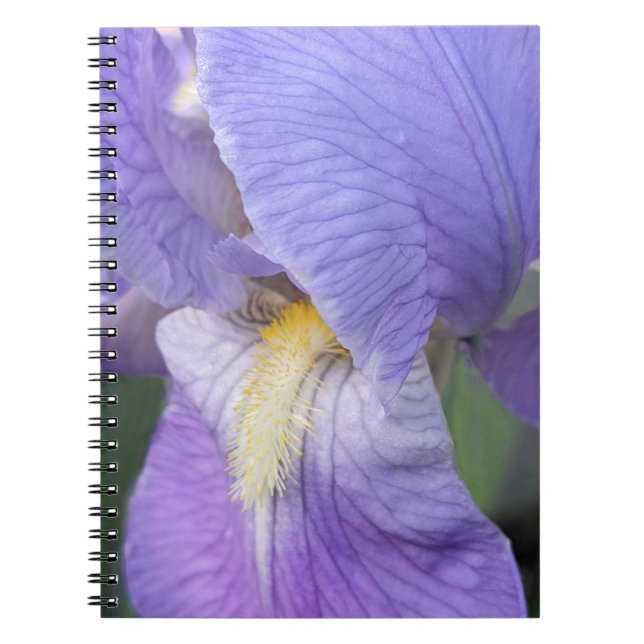 Lila Iris Blomma Blommig Anteckningsbok (Framsidan)