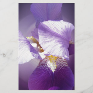 lila iris-blomma brevpapper