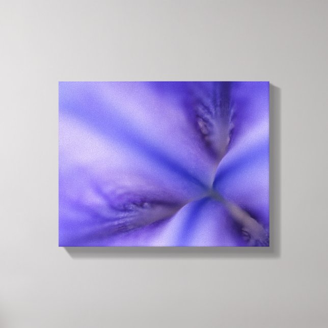 Lila Iris Blomma Närbild Canvastryck (Framsida)