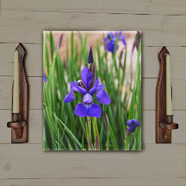 Lila Iris Blommig Botanisk Fotografisk Canvastryck