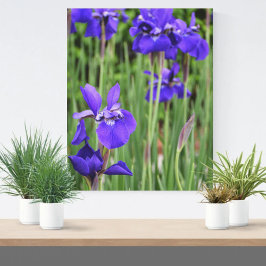 Lila Iris Blommig Botanisk Fotografisk Canvastryck