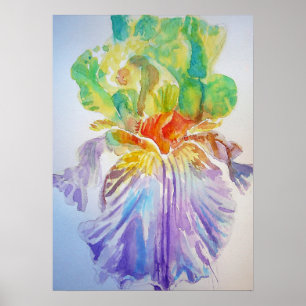 Lila Iris-Blommigt Blommor Poster vattenfärg