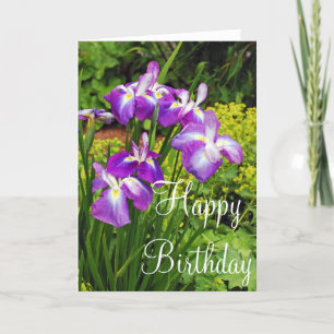 Lila iris-blommor födelsedag hälsningskort kort