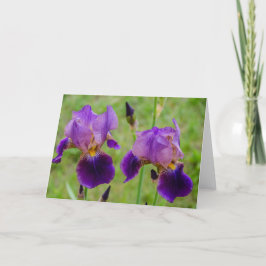 Lila Iris - Blommor - Mors dag - födelsedag Kort