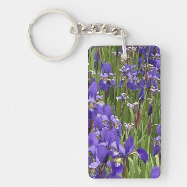 Lila Iris Blommor Natur Växter Fotografi (Framsidan)