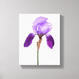 Lila iris-blommor trendig boho blommigt glam girly canvastryck