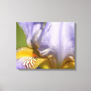 Lila Iris-Blomsterfotografi Canvastryck