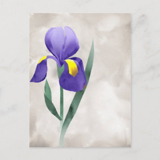 lila iris-blomsterkort vykort