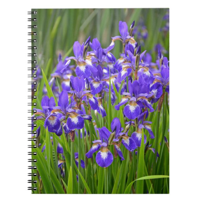 Lila iris-blomsterträdgård anteckningsbok (Framsidan)
